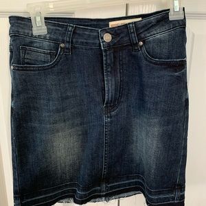 wish list jean skirt